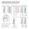 Миниатюра фото контактор модульный 40a werkel w942m40o | 220svet.ru