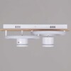 Миниатюра фото потолочный светильник reluce 29560-0.3-2+2 wh+wood | 220svet.ru