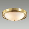Миниатюра фото настенно-потолочный светильник lumion nina 5259/3c | 220svet.ru