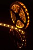Миниатюра фото лента swg 14,4w/m  60led/m 5050smd желтый 5m swg560-12-14.4-y-m 009262 | 220svet.ru