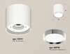 Миниатюра фото комплект накладного светильника ambrella light (c8141, n8118) xs8141003 | 220svet.ru