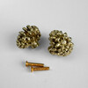 Миниатюра фото ручка-кнопка delight collection mos005 brass | 220svet.ru