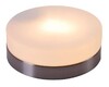 Миниатюра фото потолочный светильник globo opal 48401 | 220svet.ru