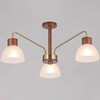 Миниатюра фото потолочный светильник illumico il0286-3c-79 br | 220svet.ru