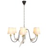 Миниатюра фото подвесная люстра loft it birds loft1029a-6 | 220svet.ru