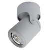 Миниатюра фото спот arte lamp a3316pl-1gy | 220svet.ru