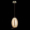 Миниатюра фото подвесной светодиодный светильник st luce ozzio sl6108.333.01 | 220svet.ru