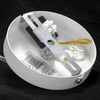 Миниатюра фото подвесная люстра lussole lgo kenner lsp-8270 | 220svet.ru