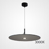 Миниатюра фото подвесной светильник imperium loft eureka d25 black 3000к 219285-23 | 220svet.ru