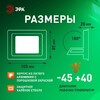 Миниатюра фото прожектор светодиодный уличный эра lpr-025-green-020 б0064699 | 220svet.ru