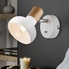 Миниатюра фото спот rivoli lorena 7052-701 б0054684 | 220svet.ru