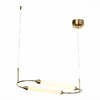 Миниатюра фото подвесной светодиодный светильник st luce sl6004.313.02 | 220svet.ru