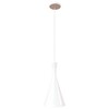Миниатюра фото подвесной светильник loft it loft1844/a | 220svet.ru