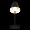 Миниатюра фото настенный светильник loft it shelf 10216/1w black | 220svet.ru
