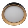 Миниатюра фото потолочный светодиодный светильник loft it coin 10202 black | 220svet.ru