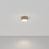 Миниатюра фото потолочный светодиодный светильник maytoni zon c032cl-12w4k-rd-mg | 220svet.ru