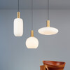 Миниатюра фото подвесной светильник imperium loft ferm living 73517-22 | 220svet.ru