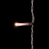 Миниатюра фото гирлянда занавес облегченный 2 x 2 м экстра тепло-белый с мерцанием белого диода 220в, 400 led, провод прозрачный пвх, ip54 ltc pcl400notblw-10-2eww | 220svet.ru