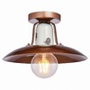 Миниатюра фото потолочный светильник lussole loft vermilion lsp-8162 | 220svet.ru