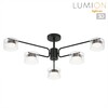 Миниатюра фото потолочный светильник lumion natalina 8349/6c черный | 220svet.ru