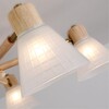 Миниатюра фото потолочная люстра arte lamp meleph a4096pl-8br | 220svet.ru