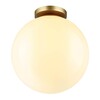 Миниатюра фото потолочный светильник odeon light bosco 4249/1c | 220svet.ru
