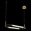 Миниатюра фото подвесной светодиодный светильник st luce sl6004.313.02 | 220svet.ru
