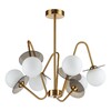 Миниатюра фото потолочная люстра indigo jazz 11020/6r brass v000165 | 220svet.ru