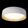 Миниатюра фото потолочный светодиодный светильник loft it coin 10202 white | 220svet.ru