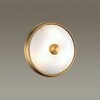 Миниатюра фото настенный светильник odeon light pelow 4956/2 | 220svet.ru