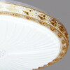 Миниатюра фото потолочный светильник reluce 1434894 | 220svet.ru