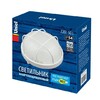 Миниатюра фото потолочный светильник (ul-00006772) uniel uwl-r02 100w/e27 ip54 white | 220svet.ru