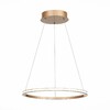 Миниатюра фото подвесной светодиодный светильник st luce st604.243.22 | 220svet.ru