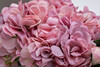 Миниатюра фото диффузор hydrangea charente rose 2*10ml garda decor 96cn-rb0040 | 220svet.ru