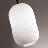 Миниатюра фото подвесной светильник odeon light roofi 4751/1 | 220svet.ru