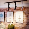 Миниатюра фото трековый однофазный светодиодный светильник arte lamp a2512pl-1wh | 220svet.ru