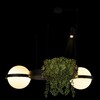 Миниатюра фото подвесной светильник loft it jardin 10121/2 | 220svet.ru