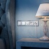 Миниатюра фото розетка с заземлением шторками и usbх2 werkel серебряные w1171506 | 220svet.ru