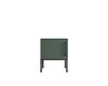 Миниатюра фото тумбочка с дверкой николь nln08g зеленый | 220svet.ru