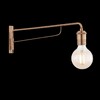 Миниатюра фото бра ideal lux triumph ap1 ottone antico | 220svet.ru