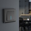 Миниатюра фото выключатель одноклавишный с подсветкой werkel черные матовый w1110108 | 220svet.ru