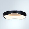 Миниатюра фото потолочный светодиодный светильник arte lamp ankaa a3085pl-48bk | 220svet.ru