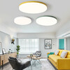 Миниатюра фото потолочный светодиодный светильник imperium loft disc 193124-26 | 220svet.ru