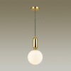 Миниатюра фото подвесной светильник odeon light okia 4669/1 | 220svet.ru
