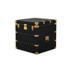Миниатюра фото сундук roomers furniture t0165/b76# | 220svet.ru