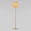 Миниатюра фото торшер tk lighting kalum 16225 | 220svet.ru