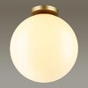 Миниатюра фото потолочный светильник odeon light bosco 4249/1c | 220svet.ru