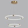 Миниатюра фото подвесной светодиодный светильник lumion twinkle 8010/50l золотой | 220svet.ru