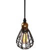 Миниатюра фото подвесной светильник loft it holder loft2009/1 | 220svet.ru